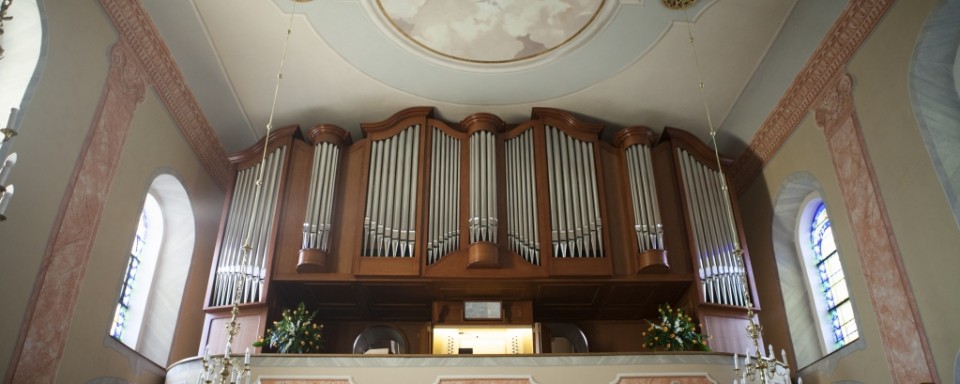 Organ 1