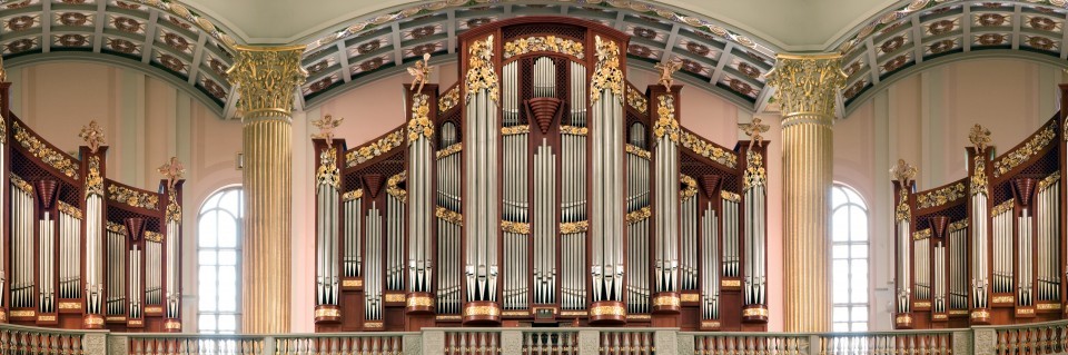 Organ 12
