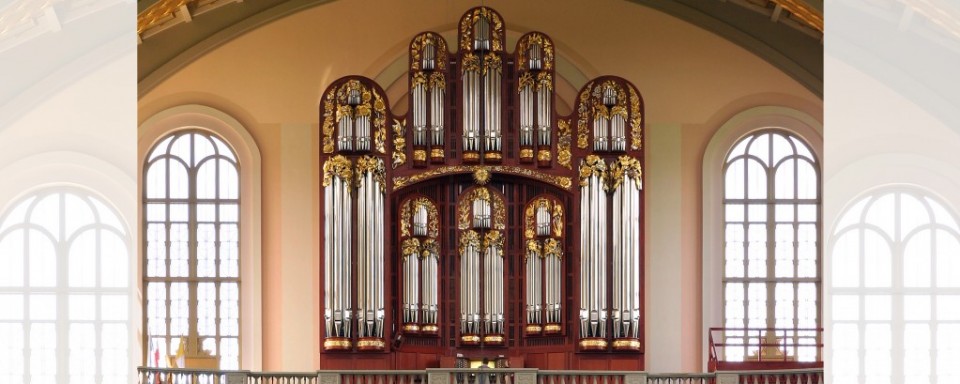 Organ 13
