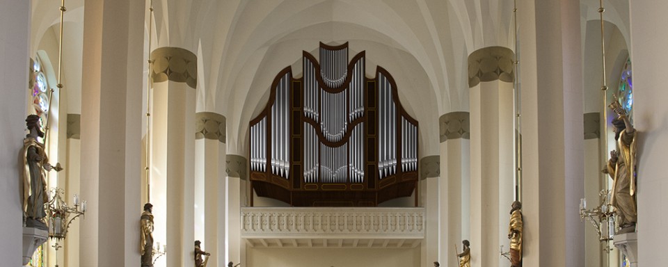 Organ 4
